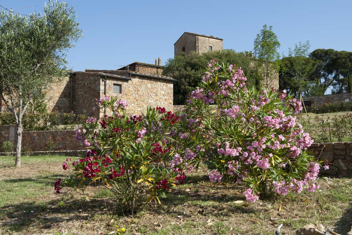 Antico Borgo Casalappi foto 3