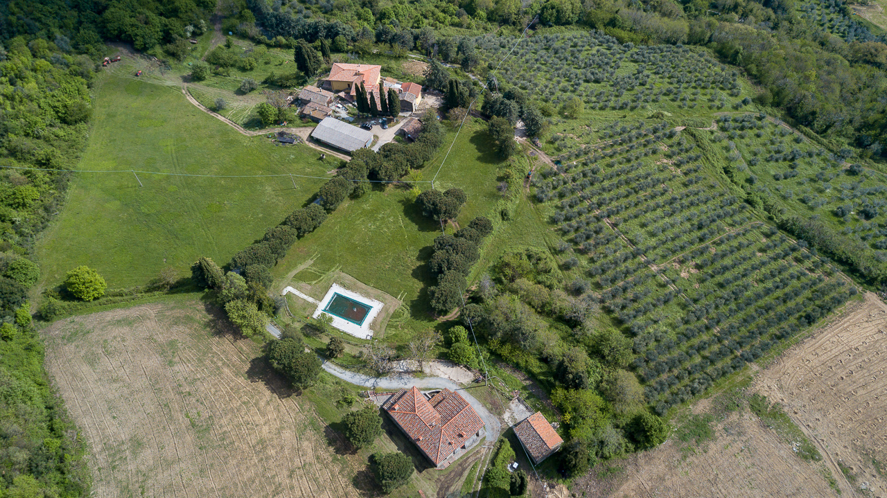 Fattoria di Cintoia foto 1