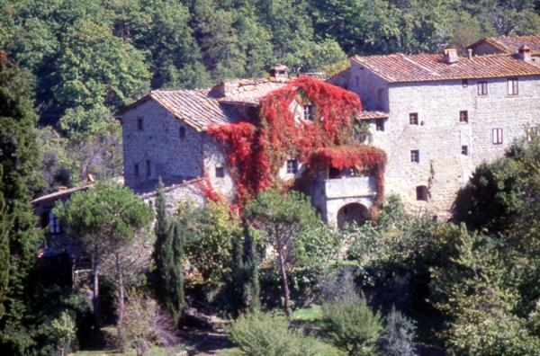 Castello di Lamole foto 5