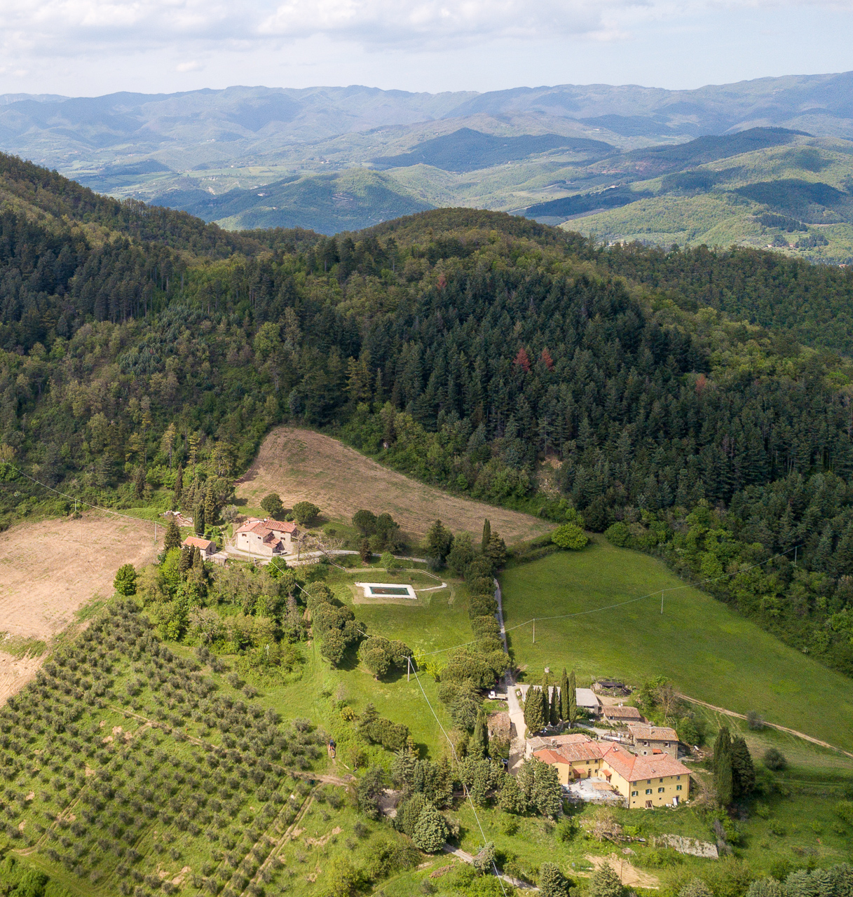 Fattoria di Cintoia foto 15