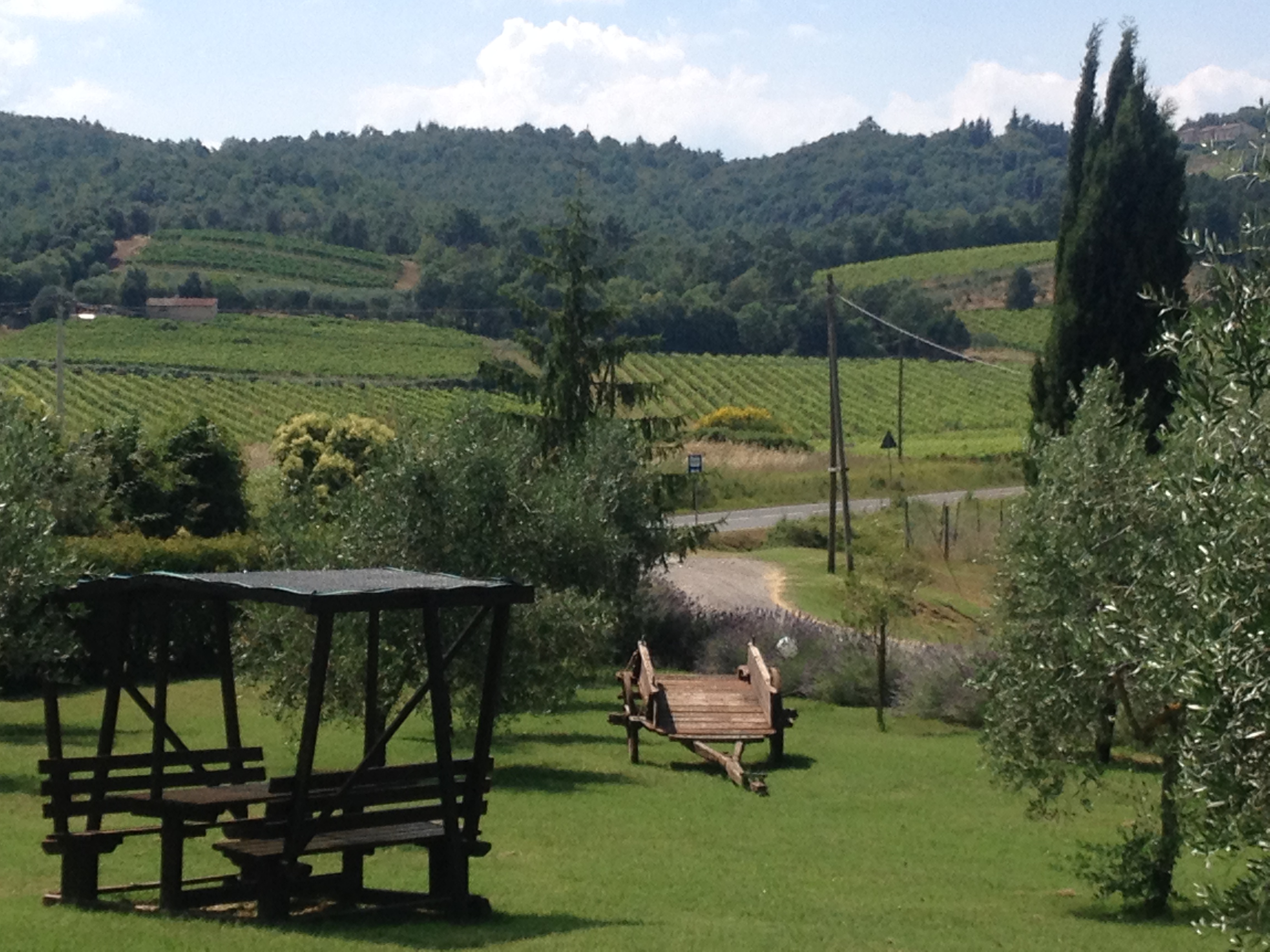 Foto Azienda Agraria Piombaia