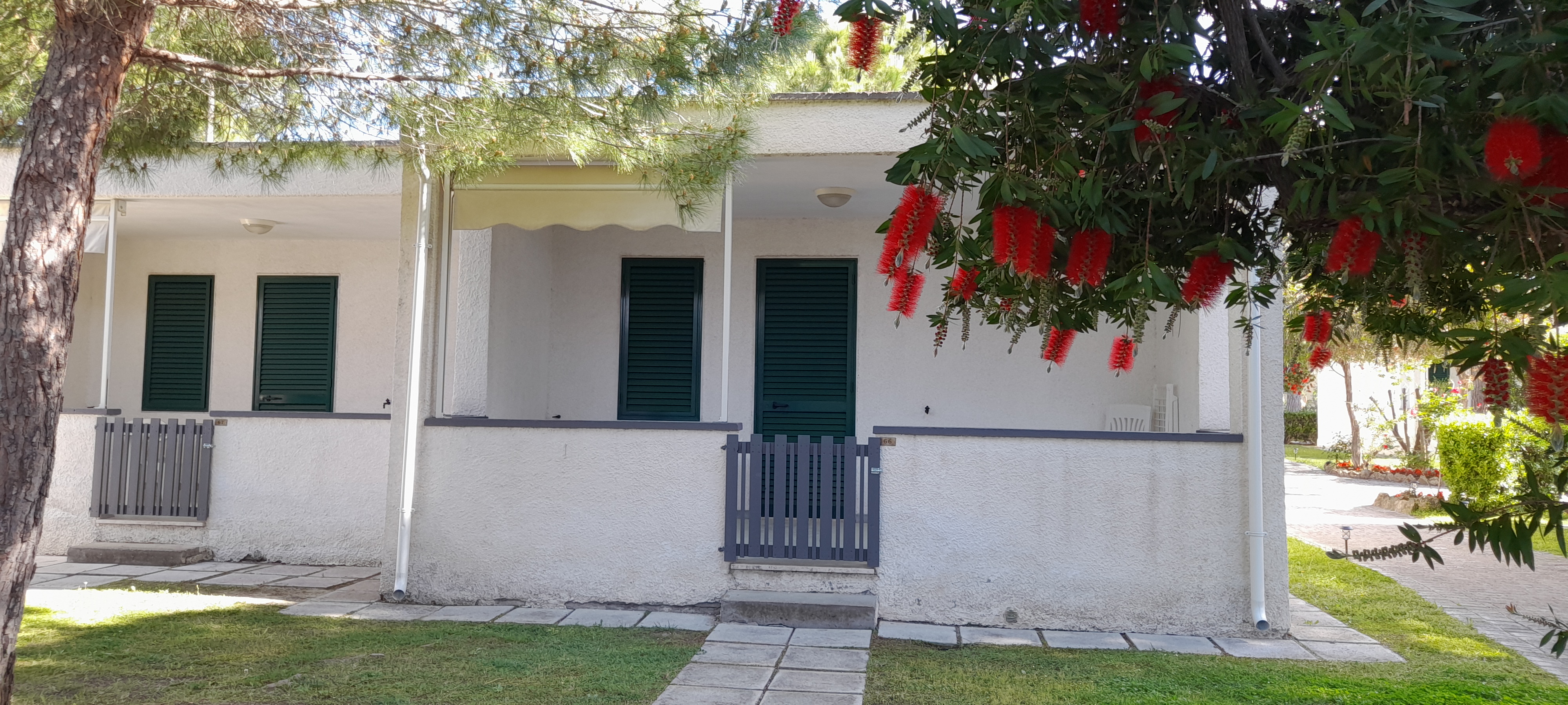 Ibiscus Beach Village foto 10