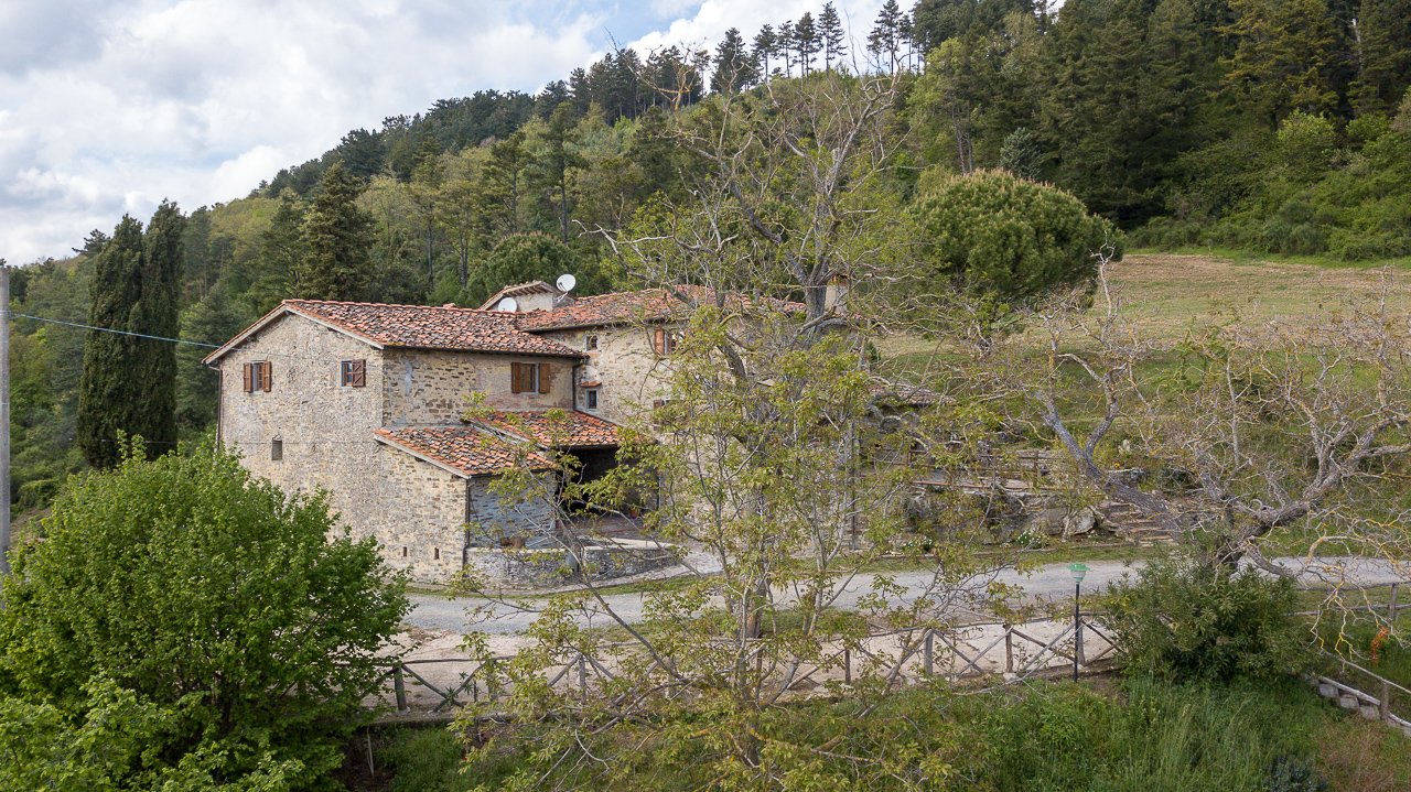 Fattoria di Cintoia foto 2