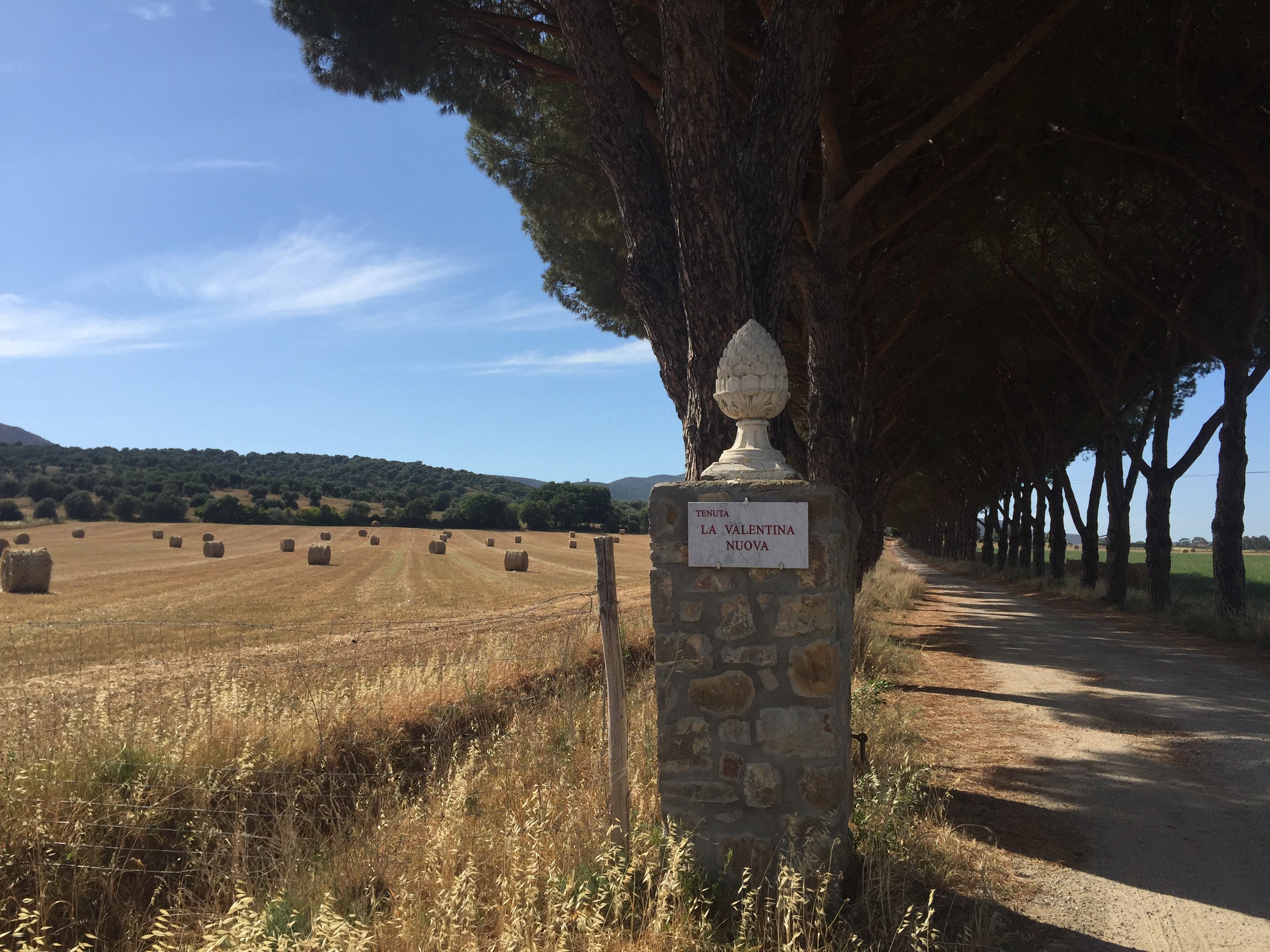 La Valentina Nuova foto 0