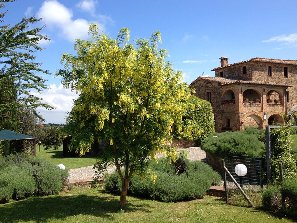 Azienda Agraria Piombaia foto 3