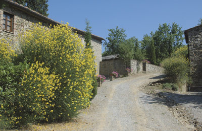 Foto Agriturismo La Massa