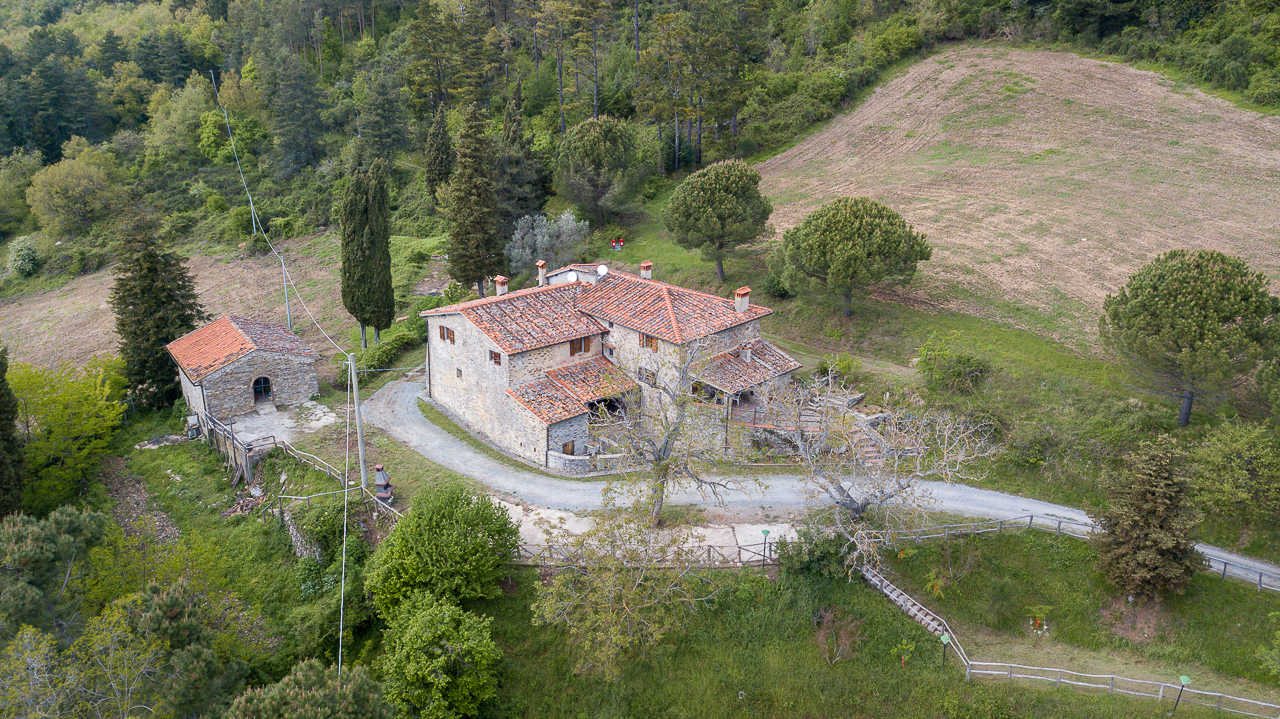 Foto Fattoria di Cintoia