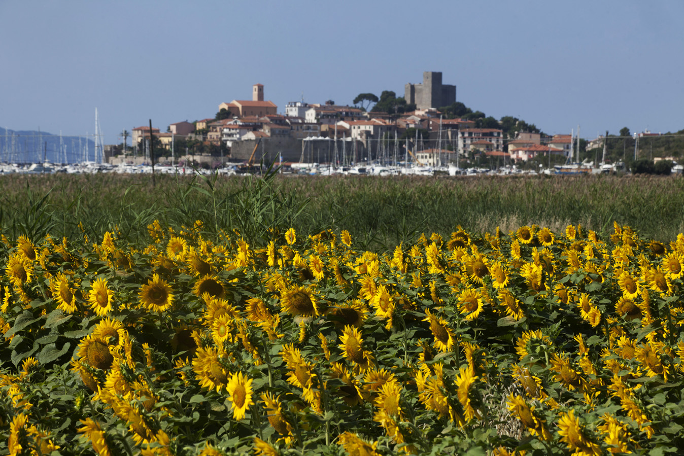 Talamone Camping Village foto 7