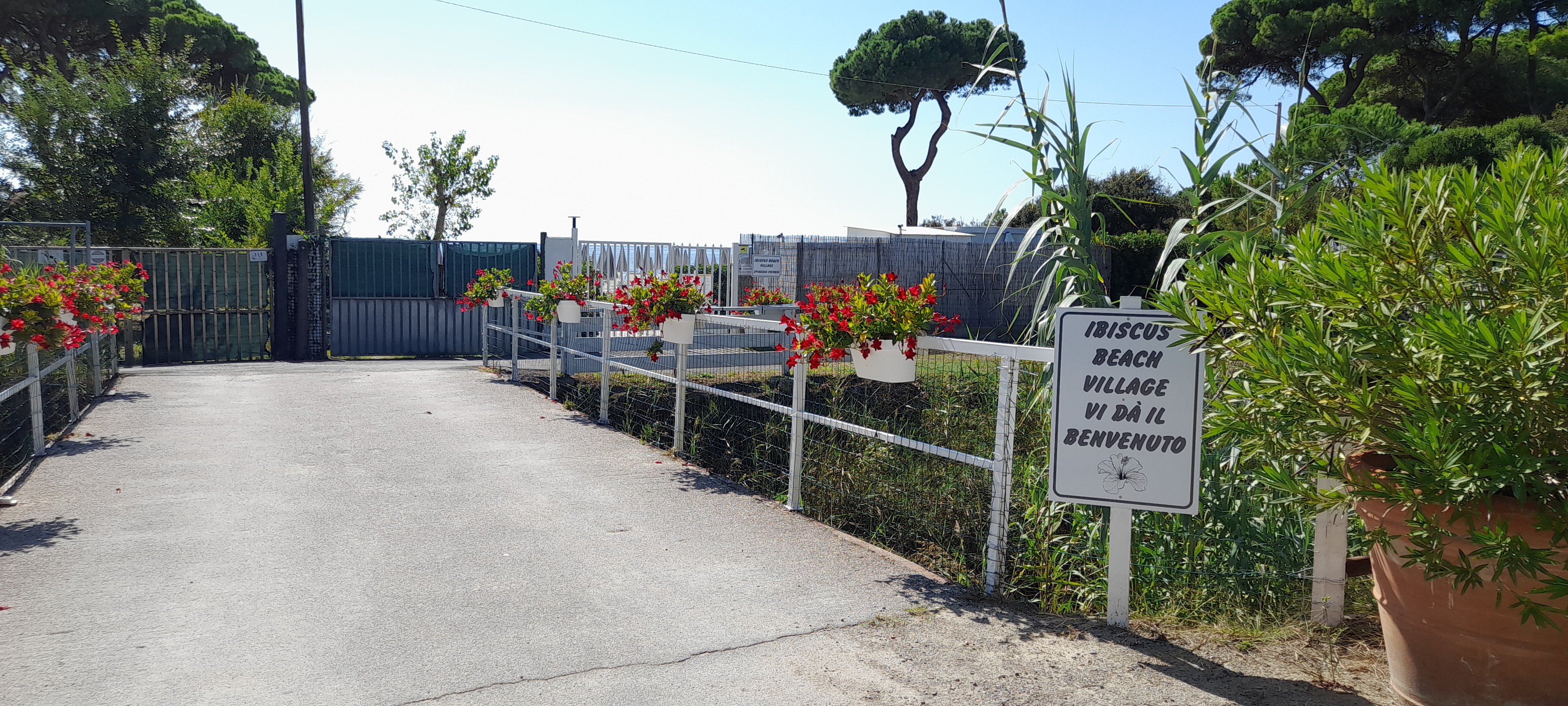 Ibiscus Beach Village foto 3