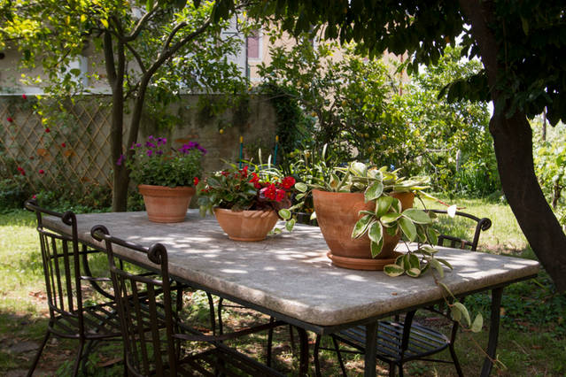 B&B LA CASA DEGLI ARANCI foto 2