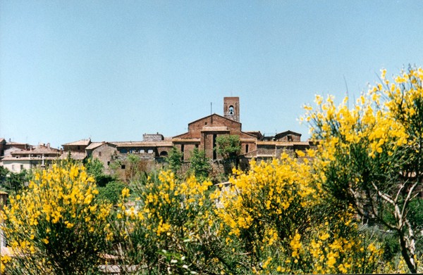 La Pergola foto 3