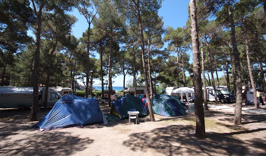 Camping Europa foto 1