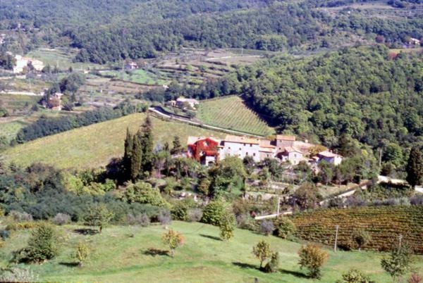 Castello di Lamole foto 0