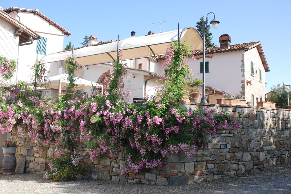 Agriturismo Olmi Grossi foto 0