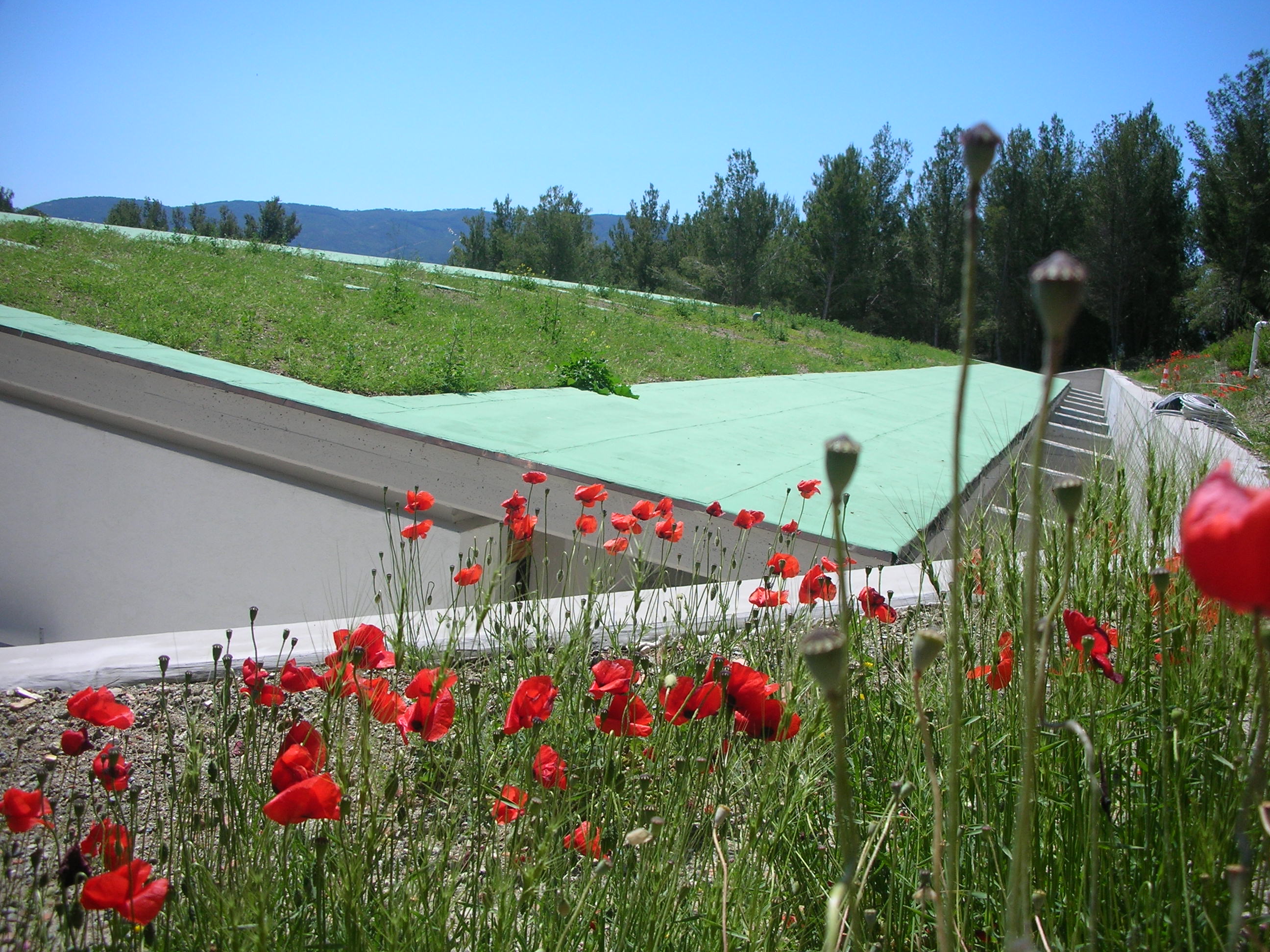 Sassi Turchini s.r.l. foto 1