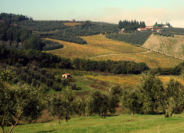 Foto Azienda Agricola Inalbi