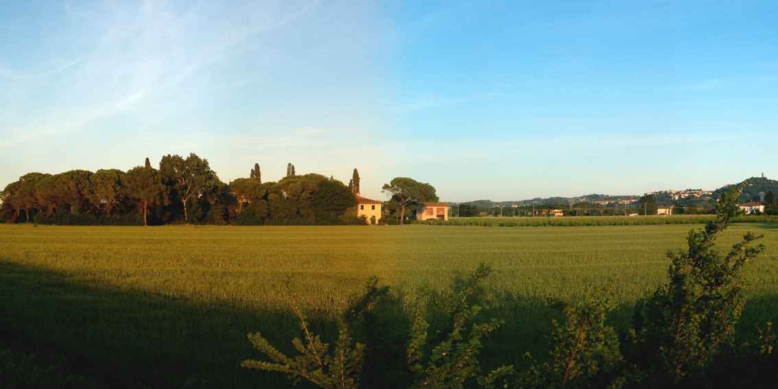 Fattoria di Scaletta foto 0