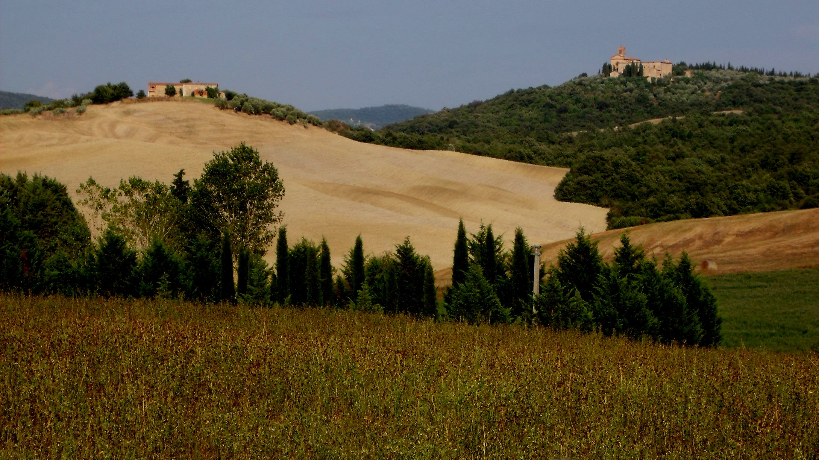 La Locanda di Montisi foto 8