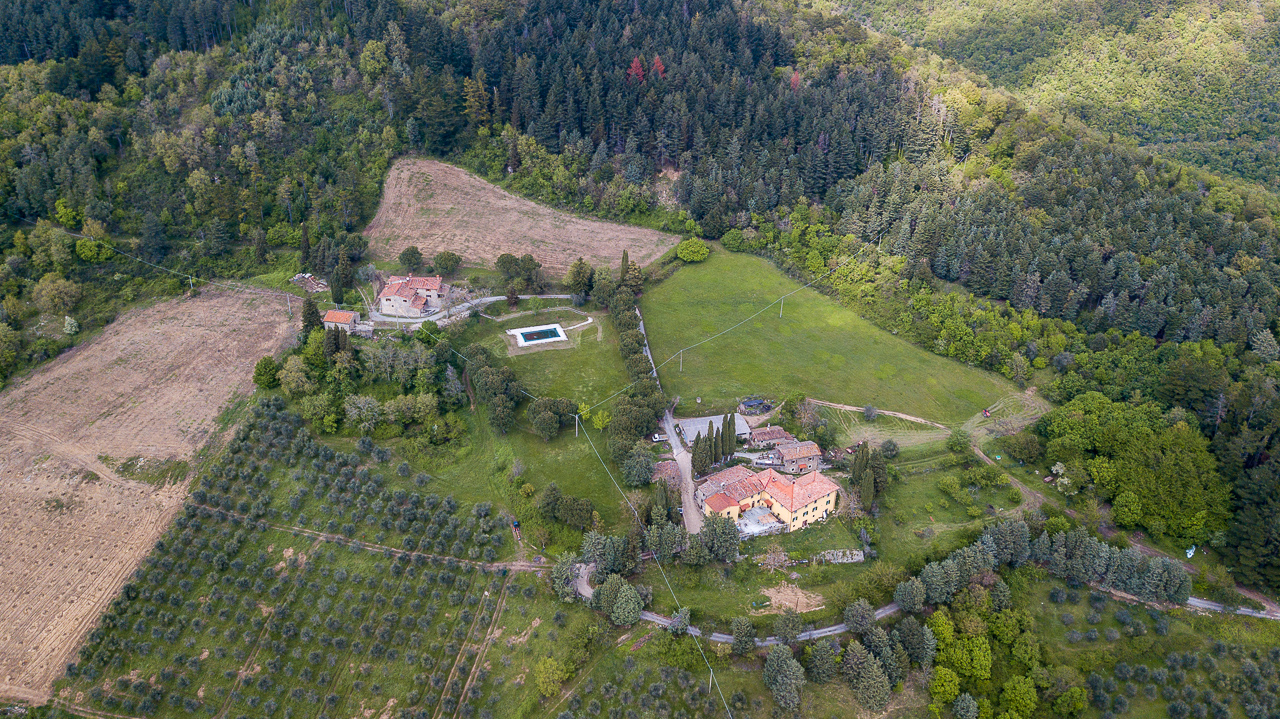 Fattoria di Cintoia foto 14