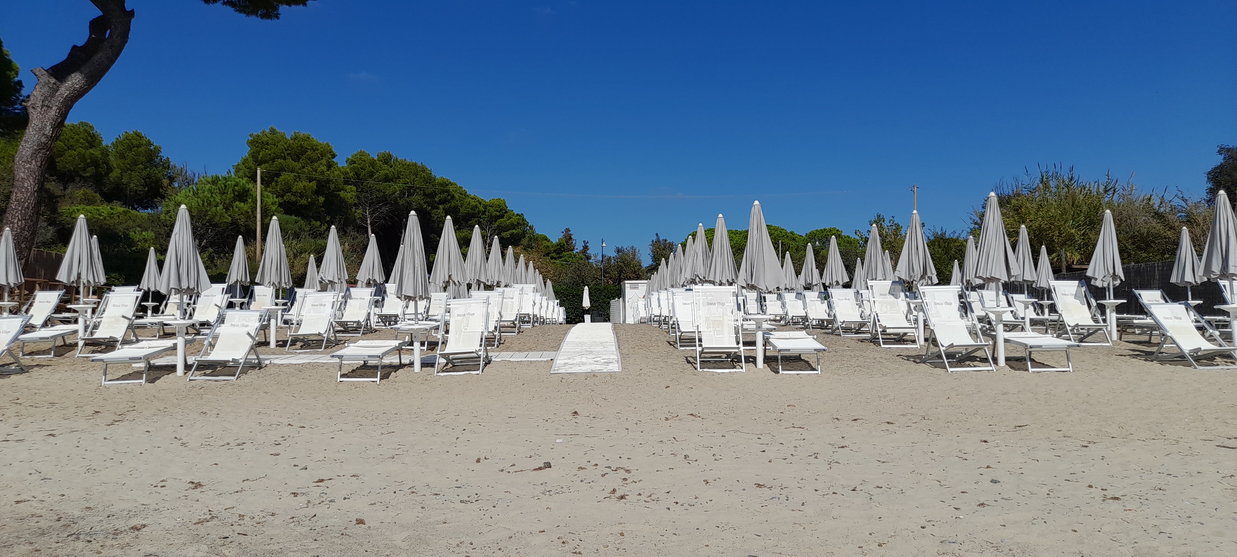 Ibiscus Beach Village foto 7