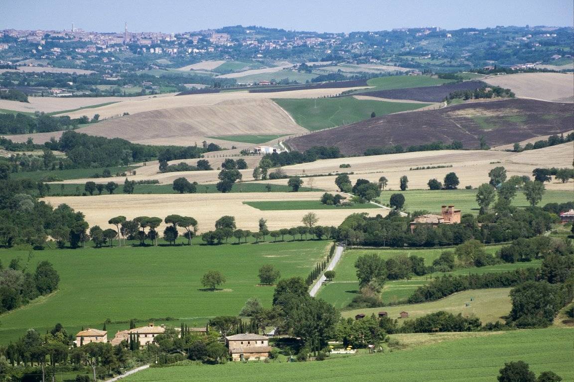 Agriturismo San Fabiano foto 1