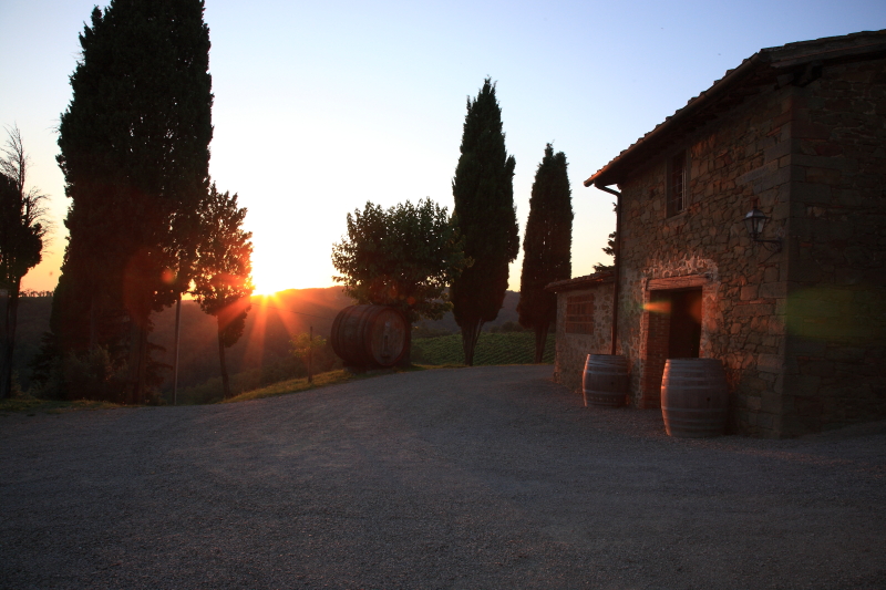 Fattoria Castelvecchi foto 1