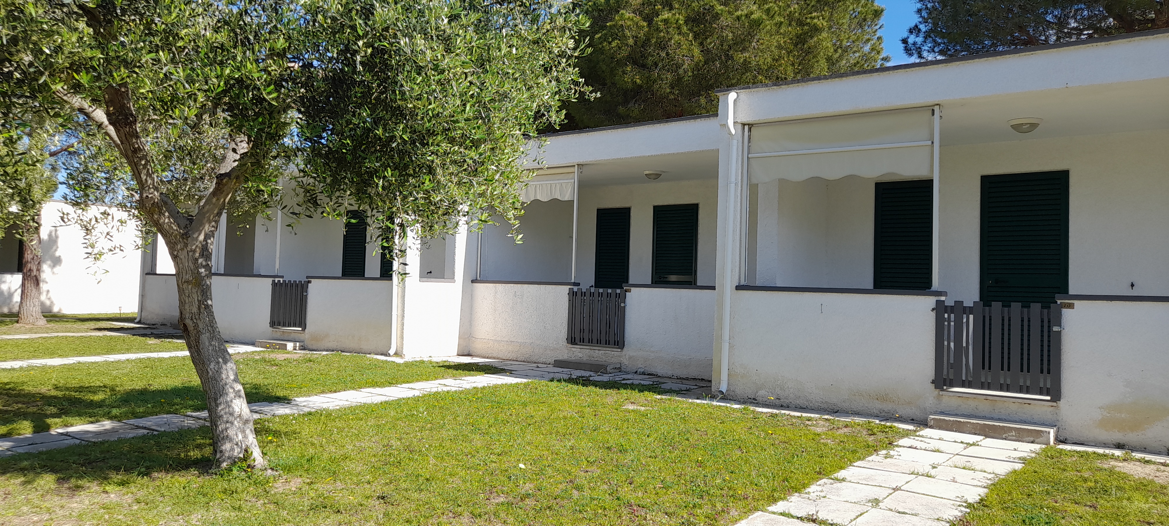 Ibiscus Beach Village foto 15
