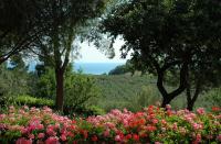 Colle Moro - B&B Villa Maria foto 4