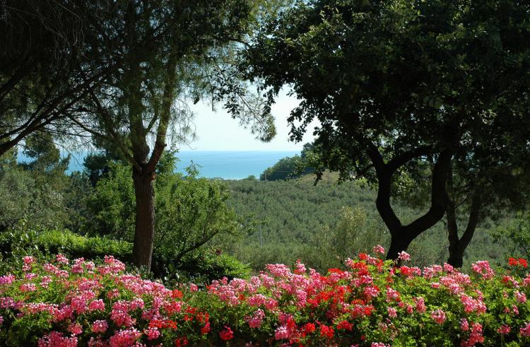 Colle Moro - B&B Villa Maria foto 4