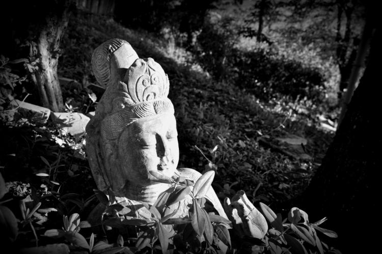 CASALE CIVETTA foto 8