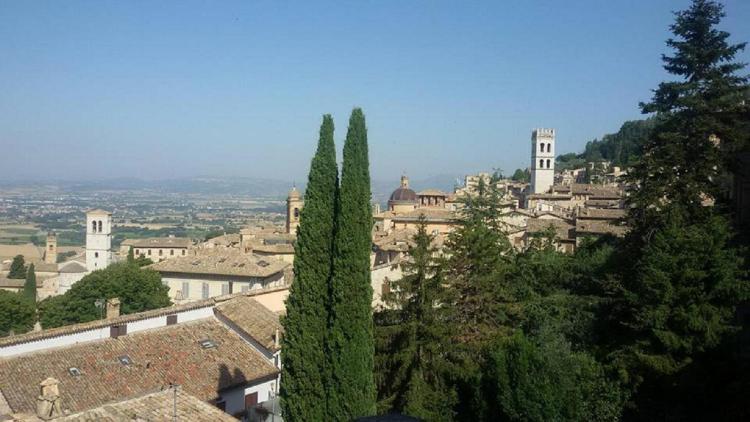 La viola B&B foto 3