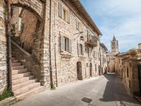 La viola B&B foto 2