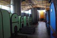 Tenute Cantine Cimaglia foto 2