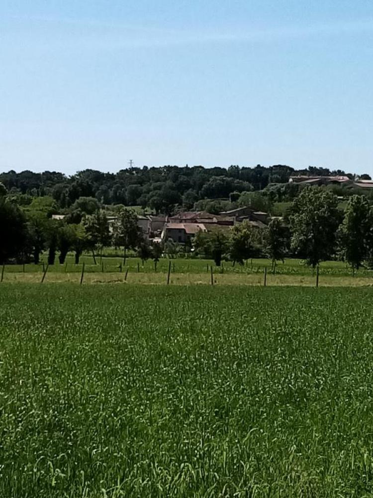 Nuvolino foto 11