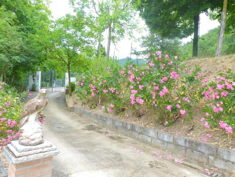 B&B La Poiana Urbino foto 2