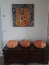 Casina Bellanova foto 11