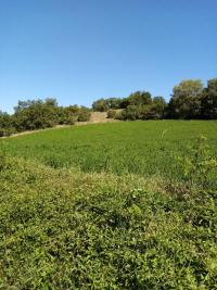 Nuvolino foto 20