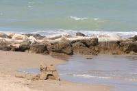 EurCamping Roseto  foto 6
