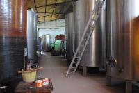 Tenute Cantine Cimaglia foto 3