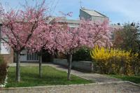 Colle Moro - B&B Villa Maria foto 1