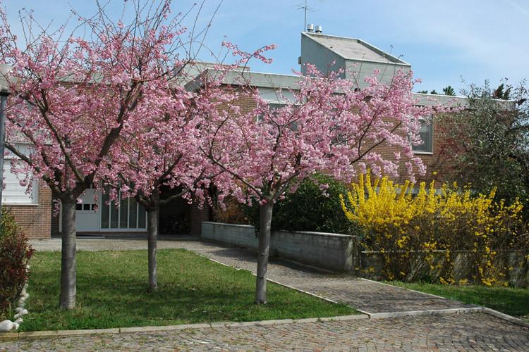 Colle Moro - B&B Villa Maria foto 1