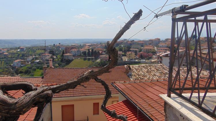 Affitto camere foto 0