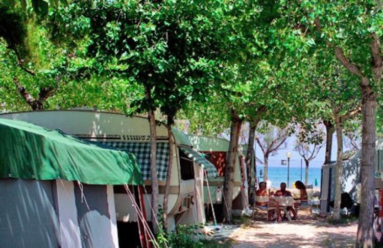 International Camping Torre Cerrano foto 3