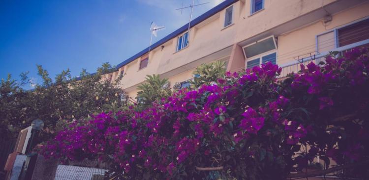 Cassiodoro Rooms Affittacamere B&B foto 0