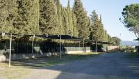 Ibiscus Beach Village foto 29