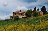 Podere Finerri foto 3