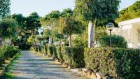 Ibiscus Beach Village foto 7