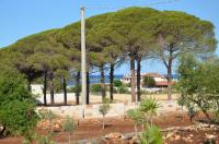Casina Bellanova foto 3