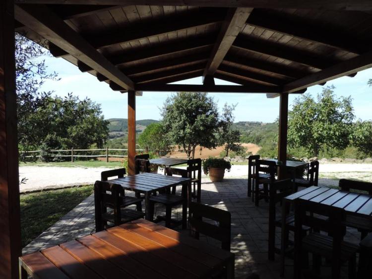  BIO AGRITURISMO IL QUARTO foto 2