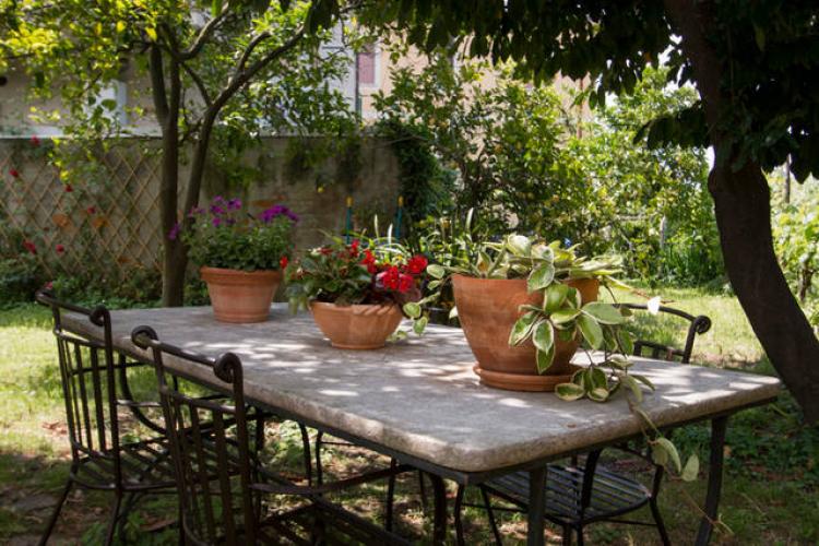 B&B LA CASA DEGLI ARANCI foto 2